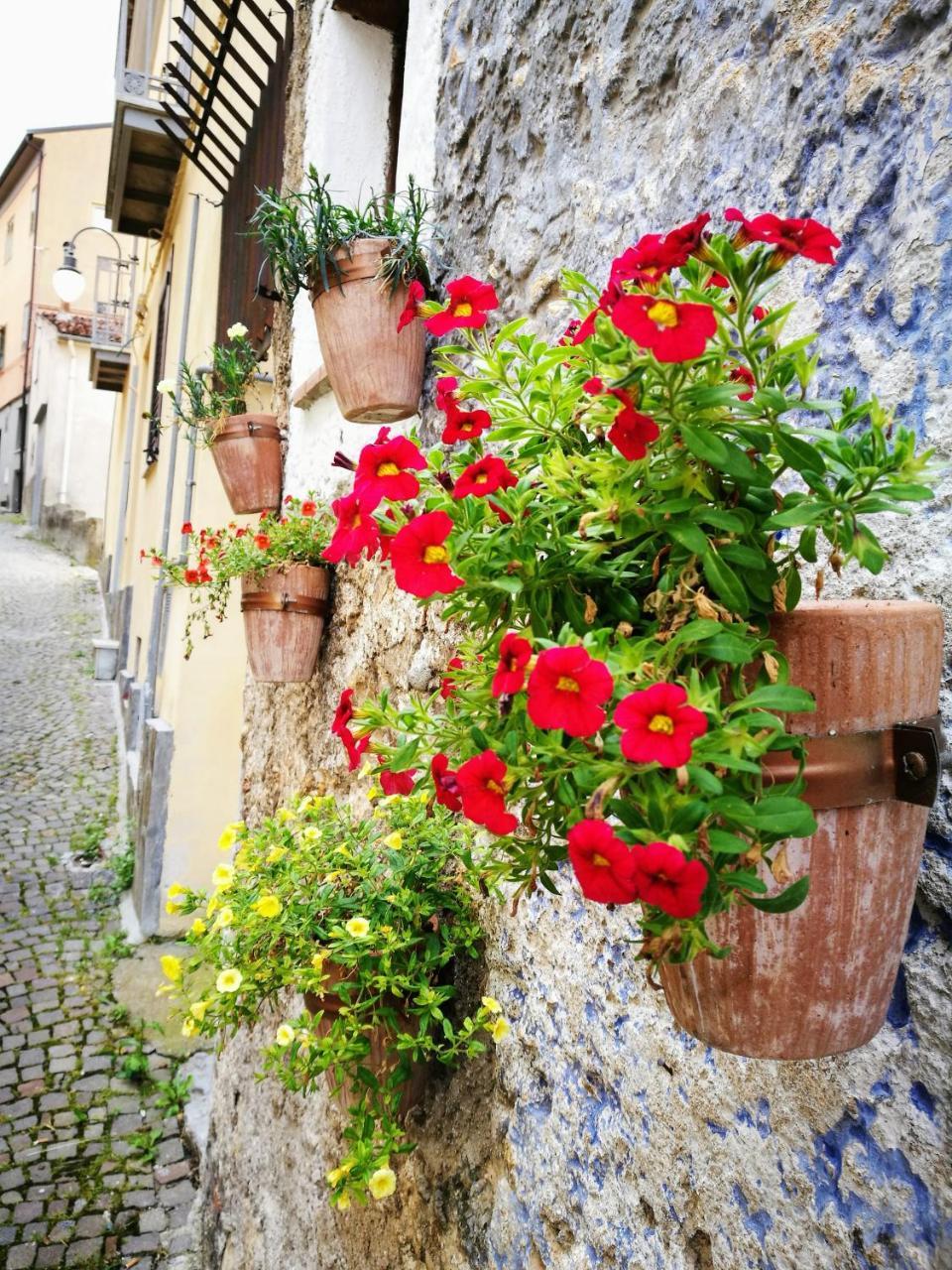 Bed and Breakfast L'Antico Ritrovo à Moliterno Extérieur photo